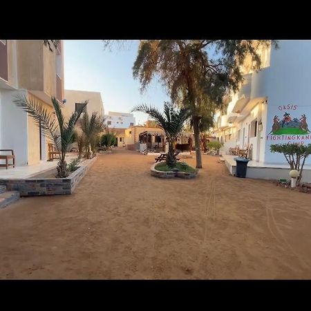 Oasis Fighting Kangaroo Dahab Exterior photo