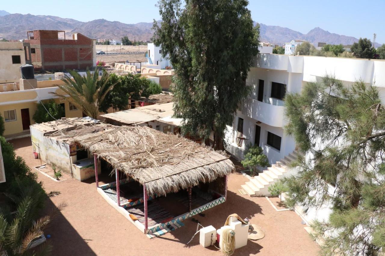 Oasis Fighting Kangaroo Dahab Exterior photo