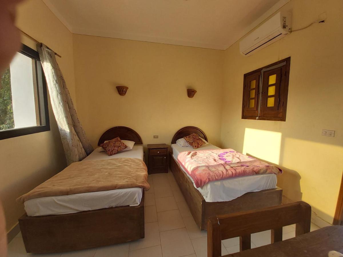 Oasis Fighting Kangaroo Dahab Exterior photo
