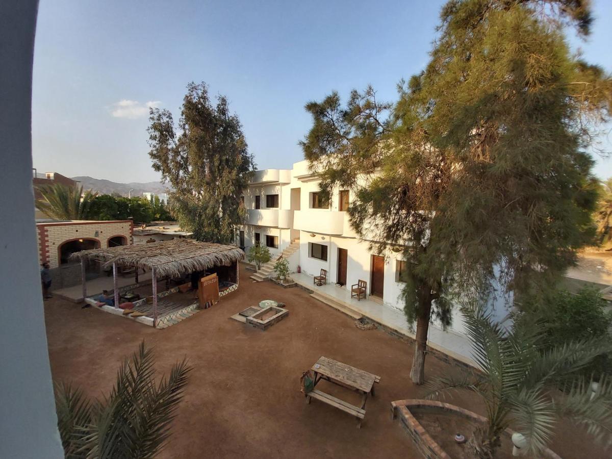 Oasis Fighting Kangaroo Dahab Exterior photo