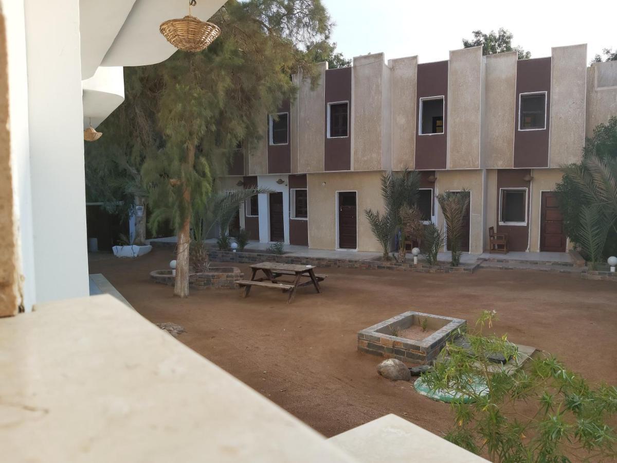 Oasis Fighting Kangaroo Dahab Exterior photo
