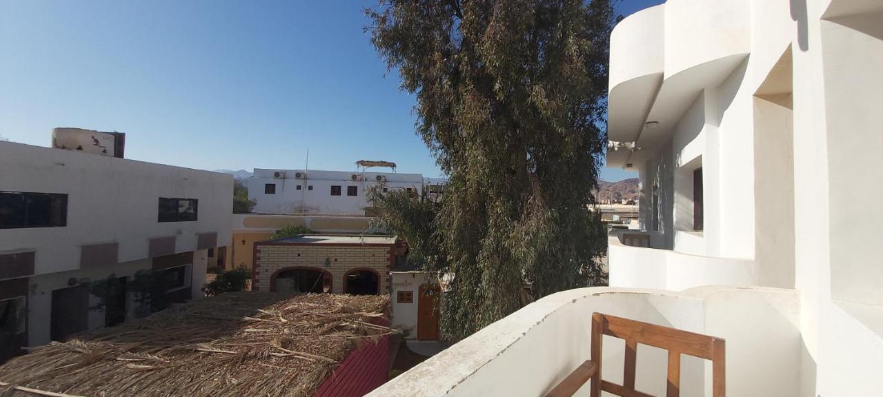 Oasis Fighting Kangaroo Dahab Exterior photo