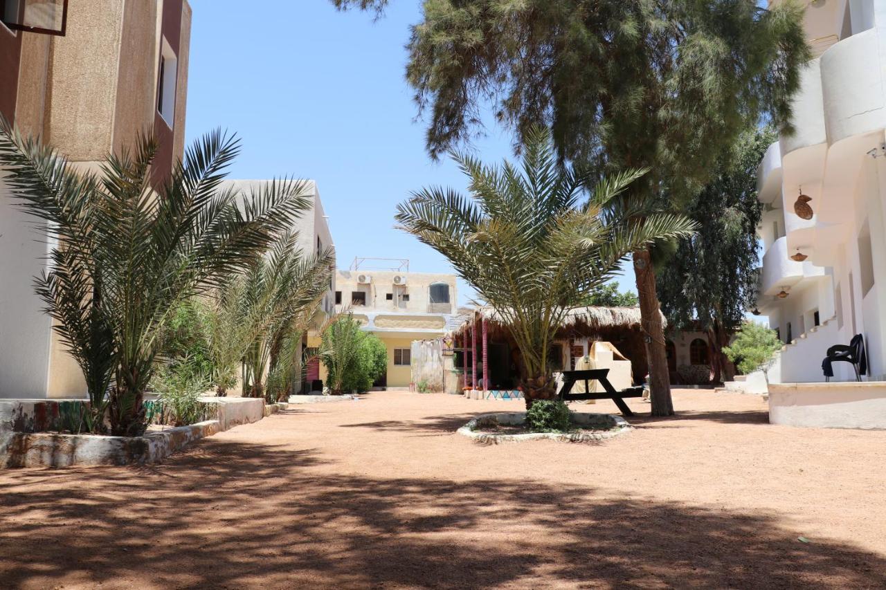 Oasis Fighting Kangaroo Dahab Exterior photo