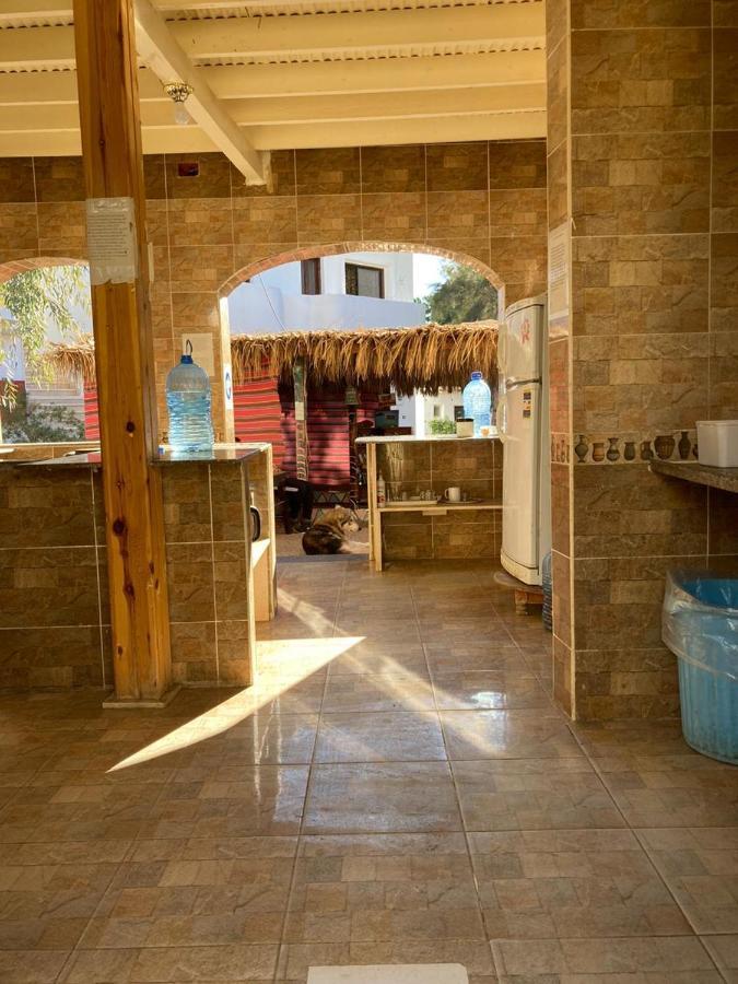 Oasis Fighting Kangaroo Dahab Exterior photo