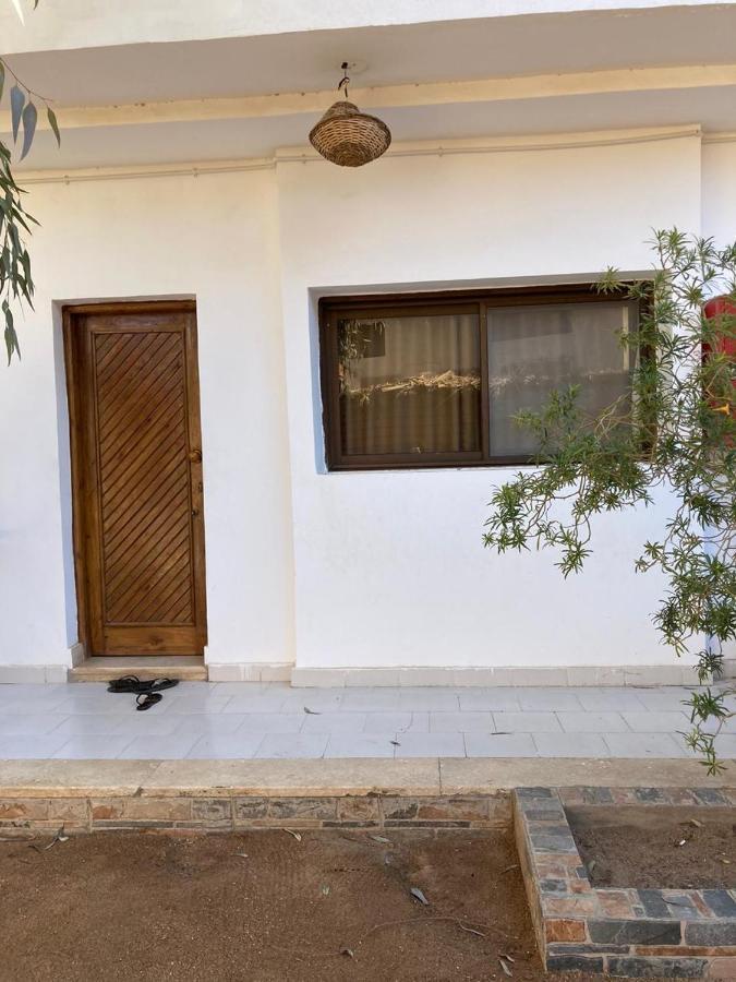 Oasis Fighting Kangaroo Dahab Exterior photo