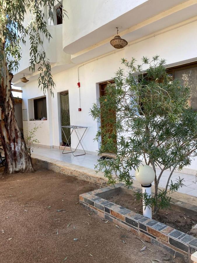 Oasis Fighting Kangaroo Dahab Exterior photo