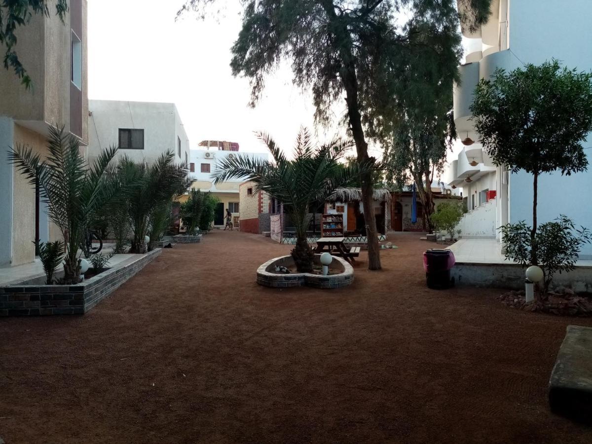 Oasis Fighting Kangaroo Dahab Exterior photo
