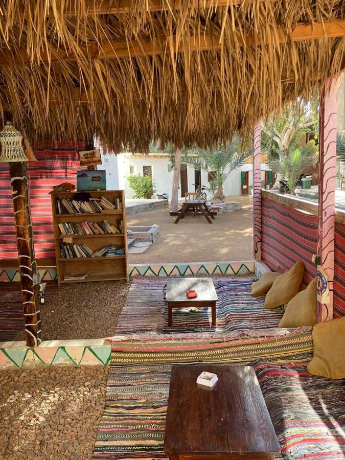 Oasis Fighting Kangaroo Dahab Exterior photo