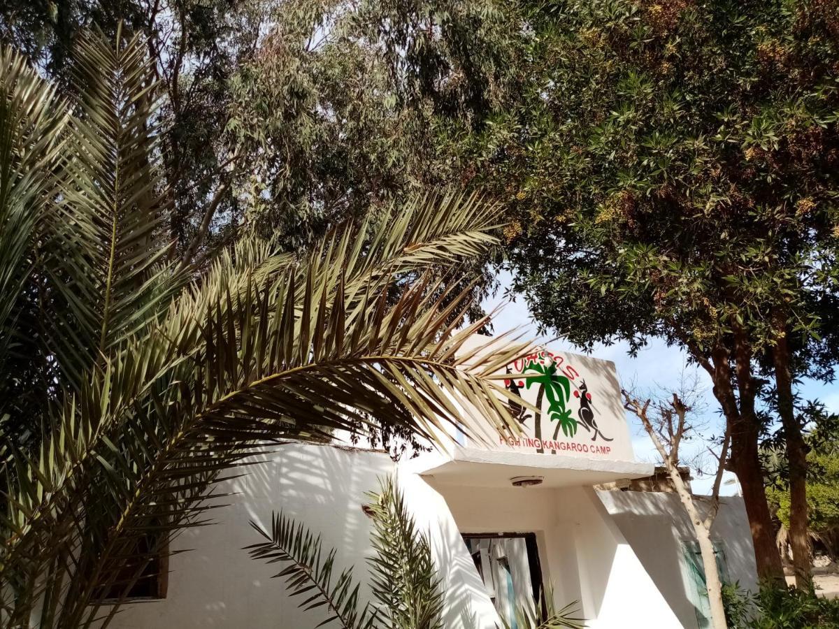 Oasis Fighting Kangaroo Dahab Exterior photo