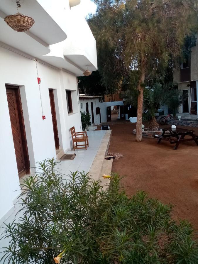 Oasis Fighting Kangaroo Dahab Exterior photo