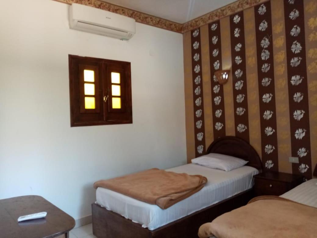Oasis Fighting Kangaroo Dahab Exterior photo