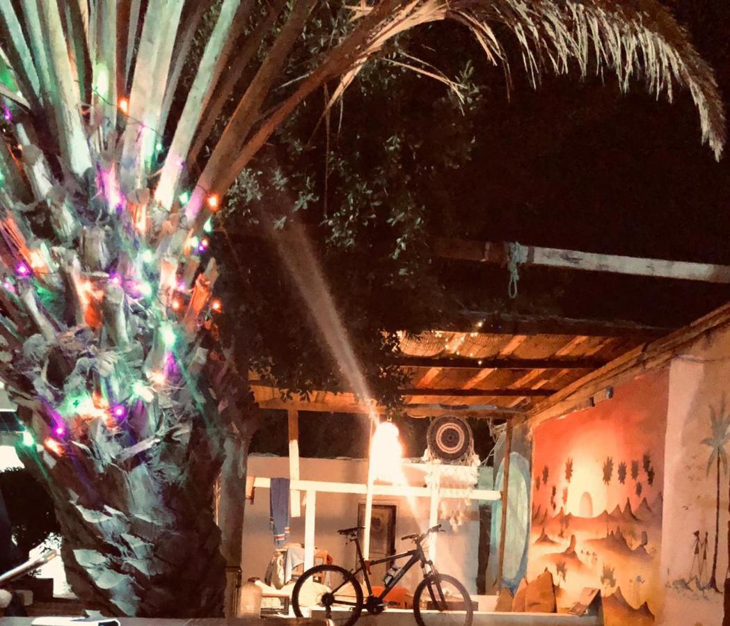 Oasis Fighting Kangaroo Dahab Exterior photo