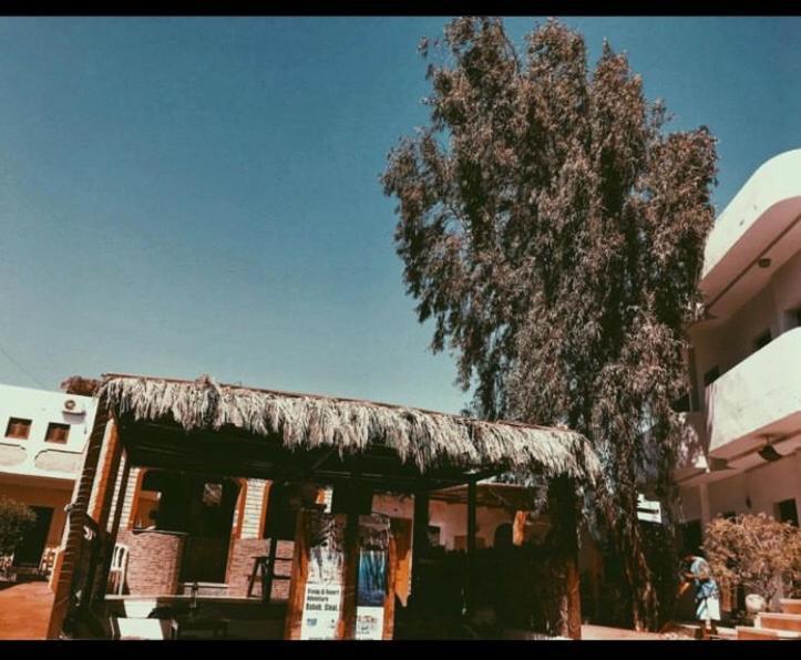 Oasis Fighting Kangaroo Dahab Exterior photo